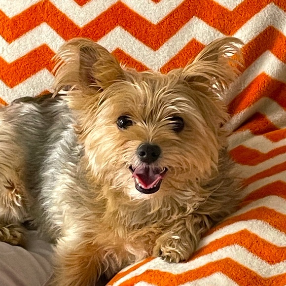 Meet your Posher, Stefanie - Picture 1 of 1